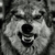 CalrC :iconcalrc: