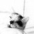 calypsokitty :iconcalypsokitty: