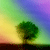 Cameraboi :iconcameraboi: