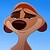 :iconcammiko: