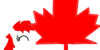 Canadian-bronies's avatar