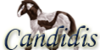 Candidis's avatar
