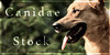 Canidae-Stock's avatar