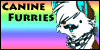 Canine-Furries's avatar