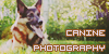 Canine-photography's avatar