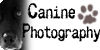 CaninePhotography's avatar