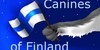 Canines-of-Finland's avatar