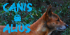 Canis-Alius's avatar