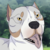 CaptainGlitch :iconcaptainglitch: