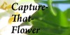 :iconcapture-that-flower: