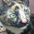 :iconcaramelandartemis: