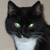 cardoso :iconcardoso: