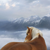 carlaxcore :iconcarlaxcore: