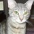carleysmiles :iconcarleysmiles: