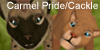 Carmel-PridenCackle's avatar