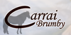 Carrai-Brumby's avatar