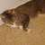 CaryHorizons15 :iconcaryhorizons15: