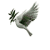 Castealer :iconcastealer: