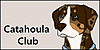 Catahoula-Club's avatar