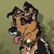 :iconcaterang8: