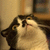 cathrmplz :iconcathrmplz: