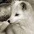catiebop :iconcatiebop:
