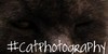 CatPhotography's avatar