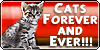 Catsforeverandever's avatar