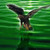 catthanh :iconcatthanh: