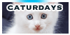 caturdays's avatar
