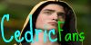 :iconcedric-diggory-fans:
