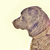 CellBarley :iconcellbarley: