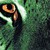 CelticTyger :iconceltictyger: