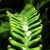 CenturionBR :iconcenturionbr: