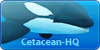 Cetacean-HQ's avatar