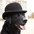 ChaNguyen :iconchanguyen: