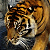 ChaosRules :iconchaosrules:
