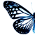 chaoticparadox :iconchaoticparadox: