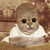 ChappaOP :iconchappaop: