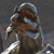 charizard14 :iconcharizard14: