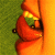 CharlieRadosna :iconcharlieradosna: