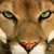 :iconcharlottesphotos: