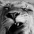 Charlottesu006 :iconcharlottesu006:
