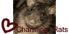 CharmingRats's avatar