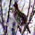 DeviantArt profile picture for @chartreuse on DeviantArt