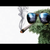 chasmanxx :iconchasmanxx: