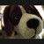 cheesebeagle :iconcheesebeagle: