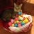 Cherryblossom-24 :iconcherryblossom-24: