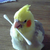 CherylMichels :iconcherylmichels: