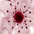 Cheryyl :iconcheryyl: